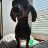 melaniemiller67